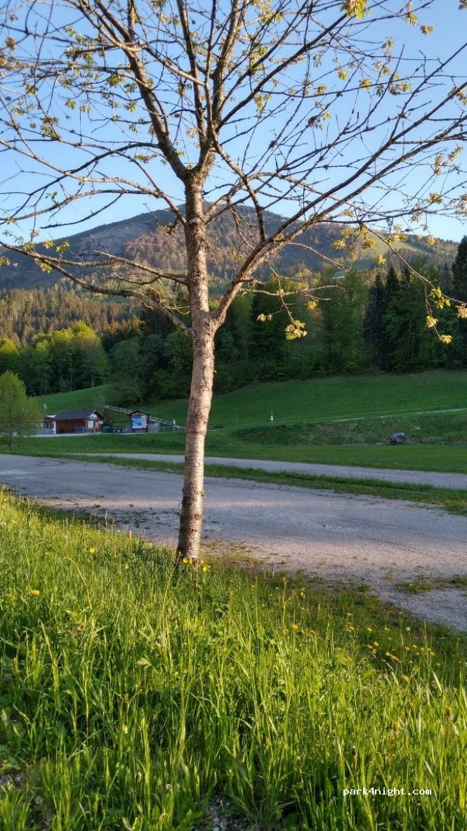 (3295) Lackenhof - 48 L108 — foto