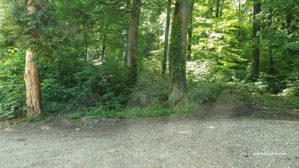 (4424) Arboldswil - 105 Schlief — foto 2