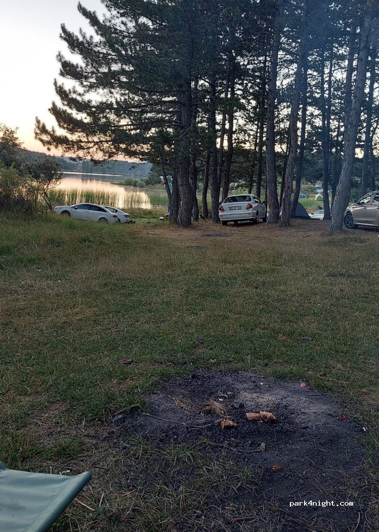 Pond Nature Park Query — foto 3