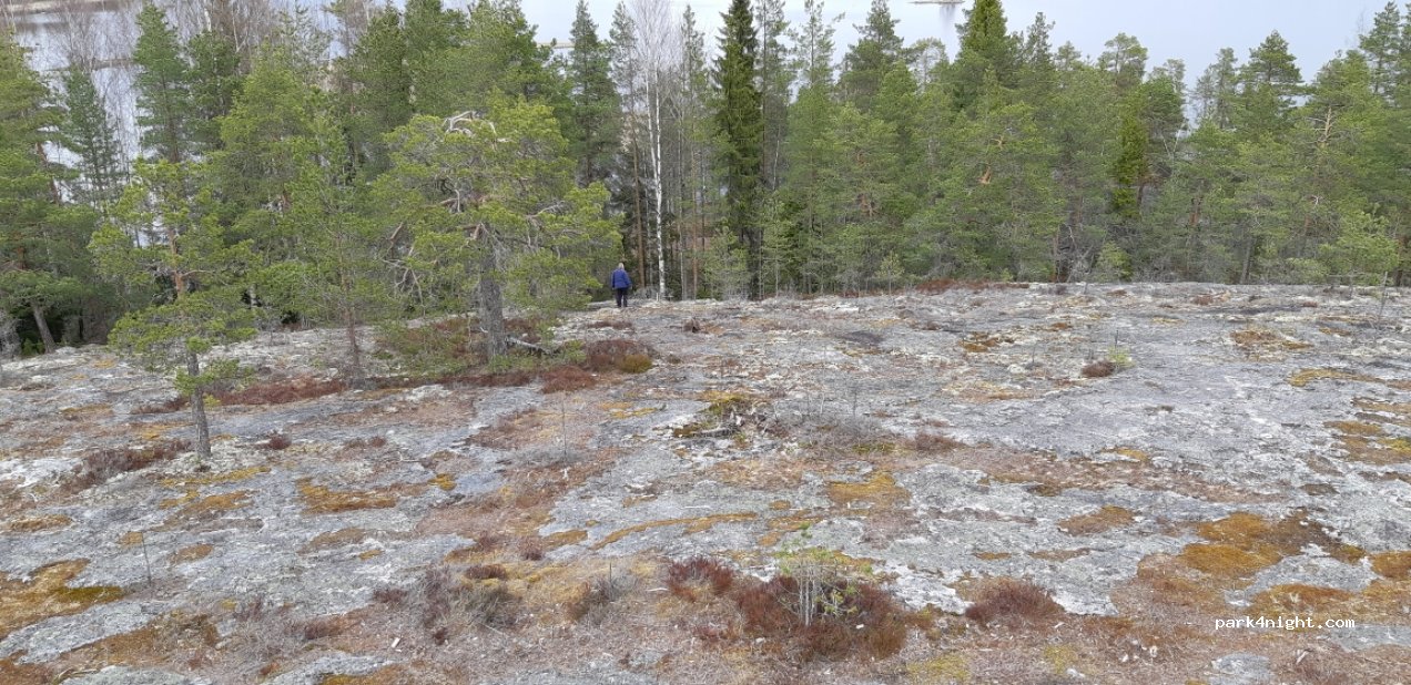 (60220) Seinäjoki - Kyrkösvuorentie — foto 4
