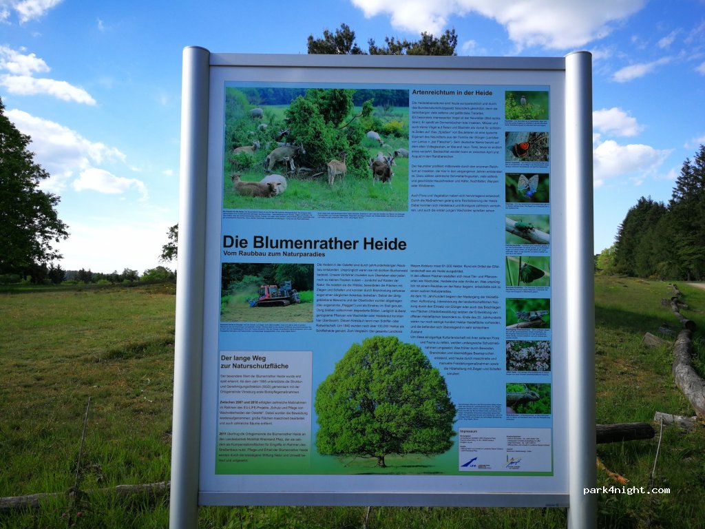 (56729) Virneburg - B258 — foto