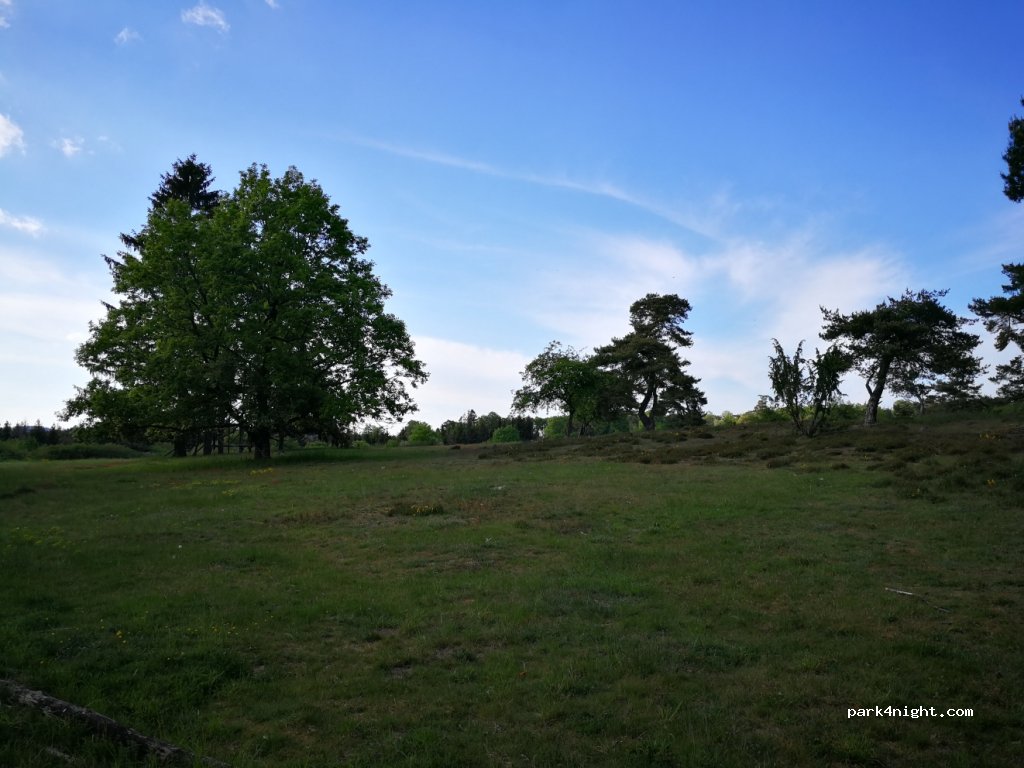 (56729) Virneburg - B258 — foto 2