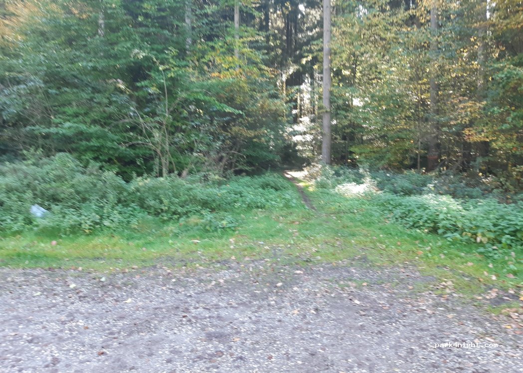 (89183) Breitingen - L1170 — foto 2
