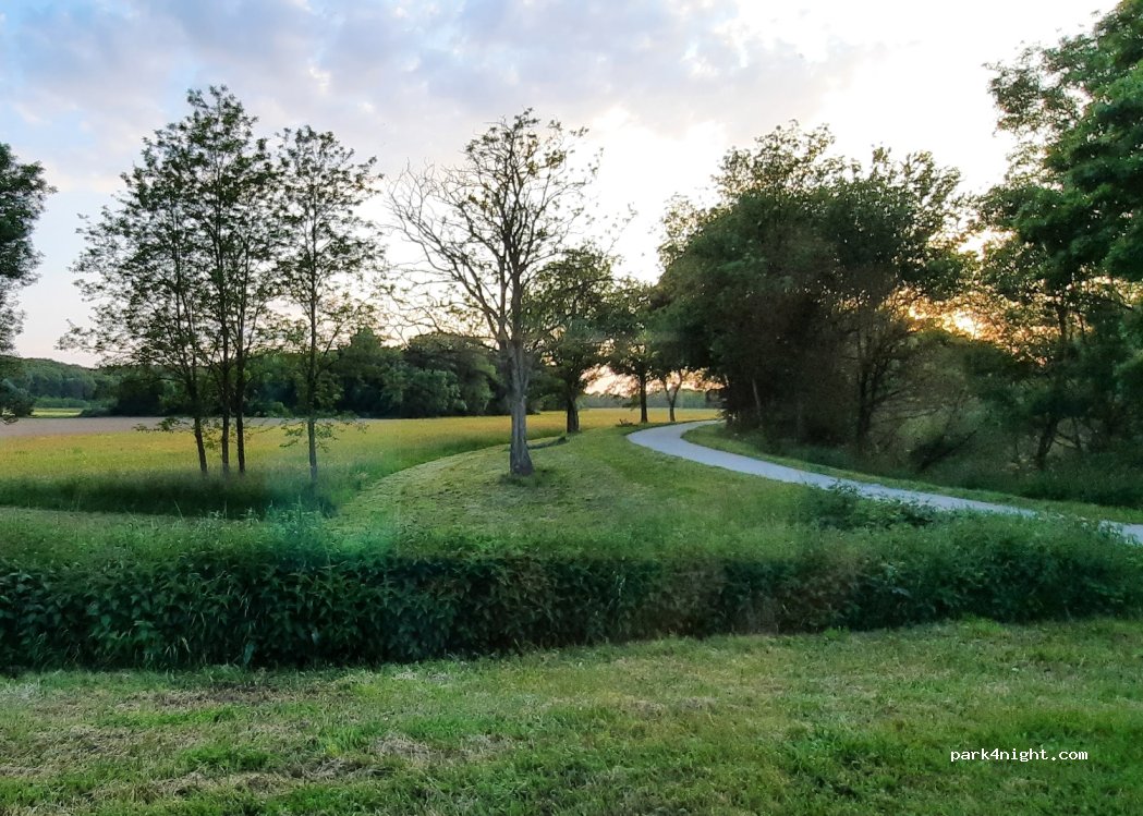 (41120) Candé-sur-Beuvron - rue du halage — foto 4