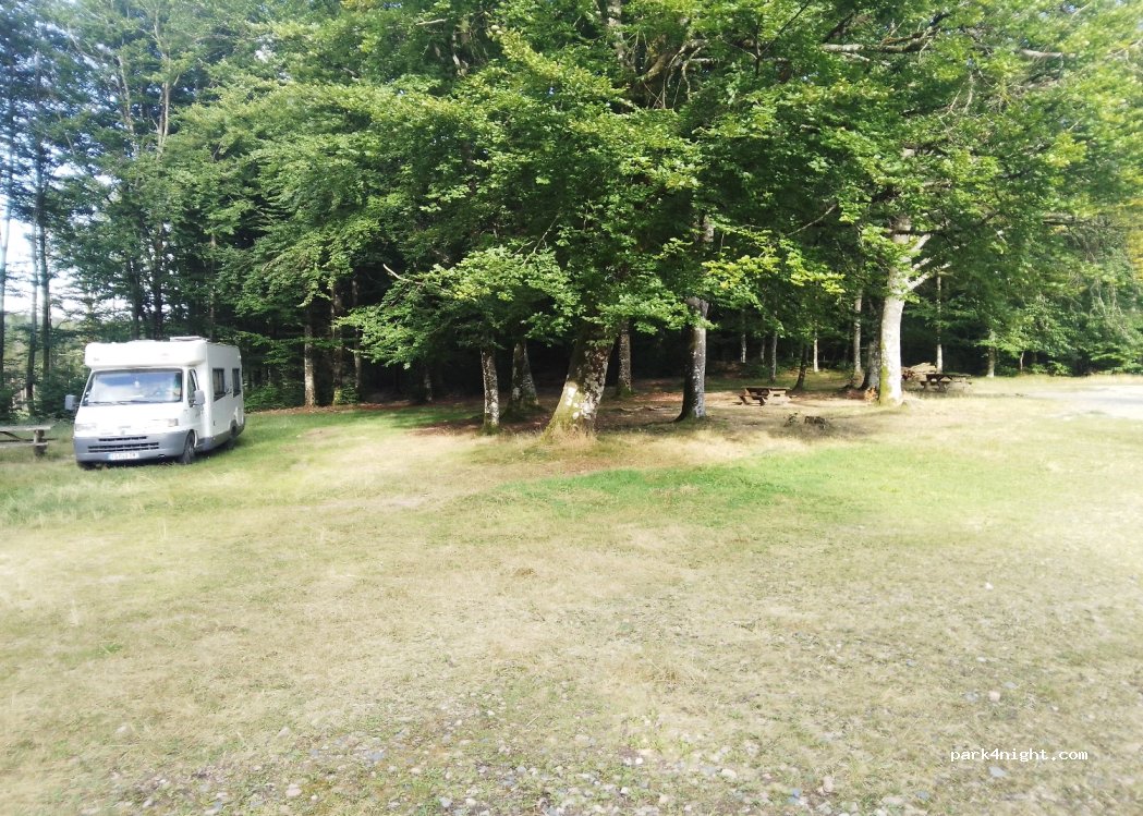 (58230) Dun-les-Places - 421 La Forêt de Breuil — foto 4