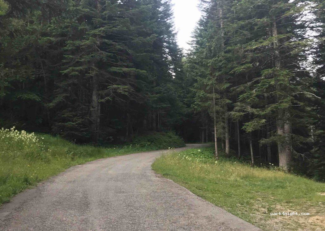 (73340) Bellecombe-en-Bauges - Unnamed Road — foto 3
