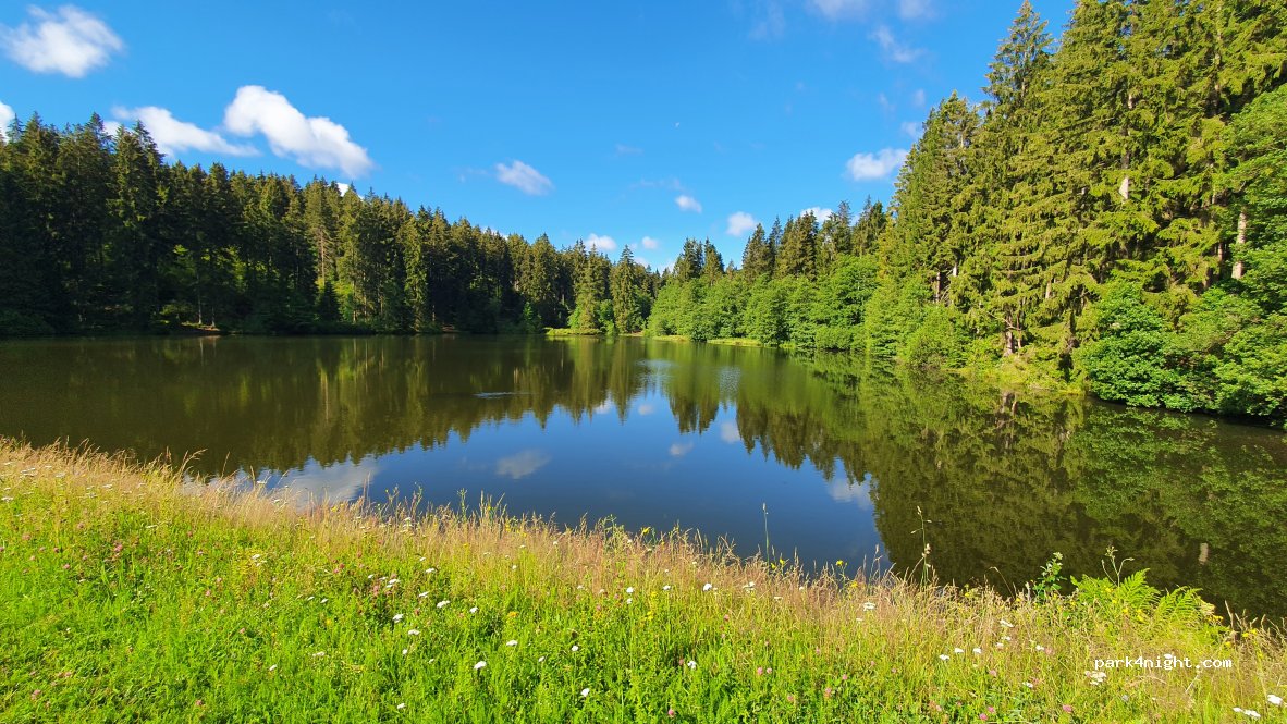 Waldcampingplatz Polstertal — foto