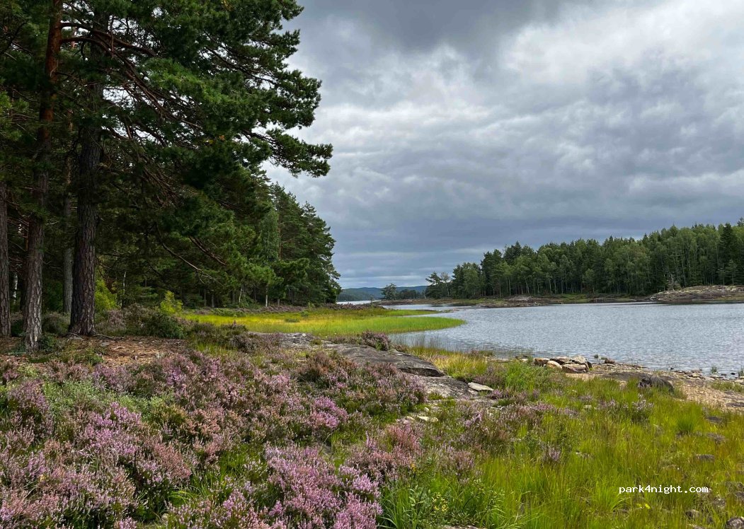 (1792)  - Primær Fylkesveg 21 — foto 4