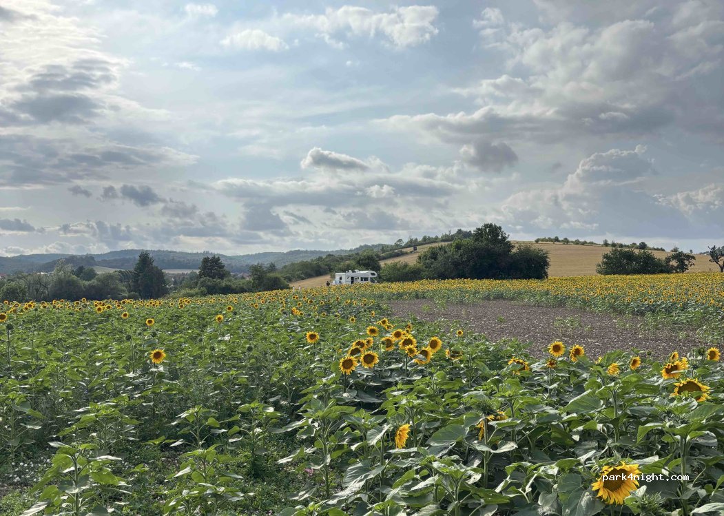 (38889) Cattenstedt - Unnamed Road — foto 5