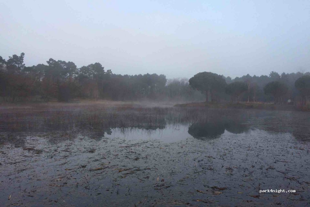 (40090) Gaillères - Unnamed Road — foto 2