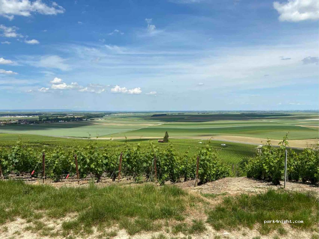 (51130) Bergères-lès-Vertus - Unnamed Road — foto