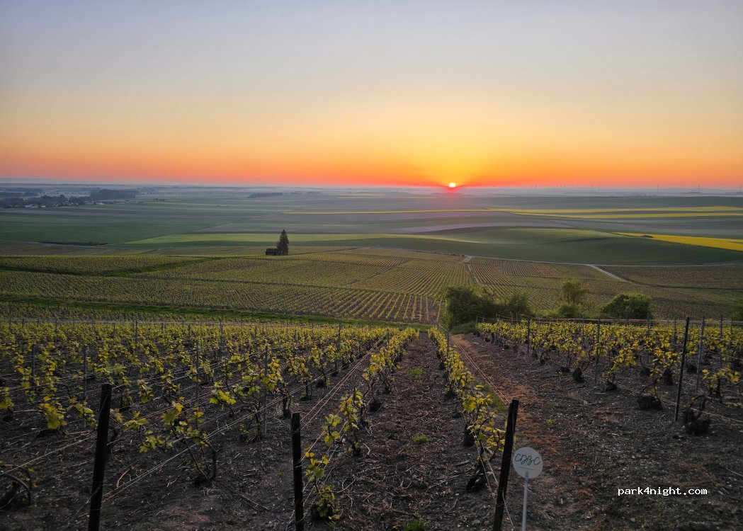 (51130) Bergères-lès-Vertus - Unnamed Road — foto 4