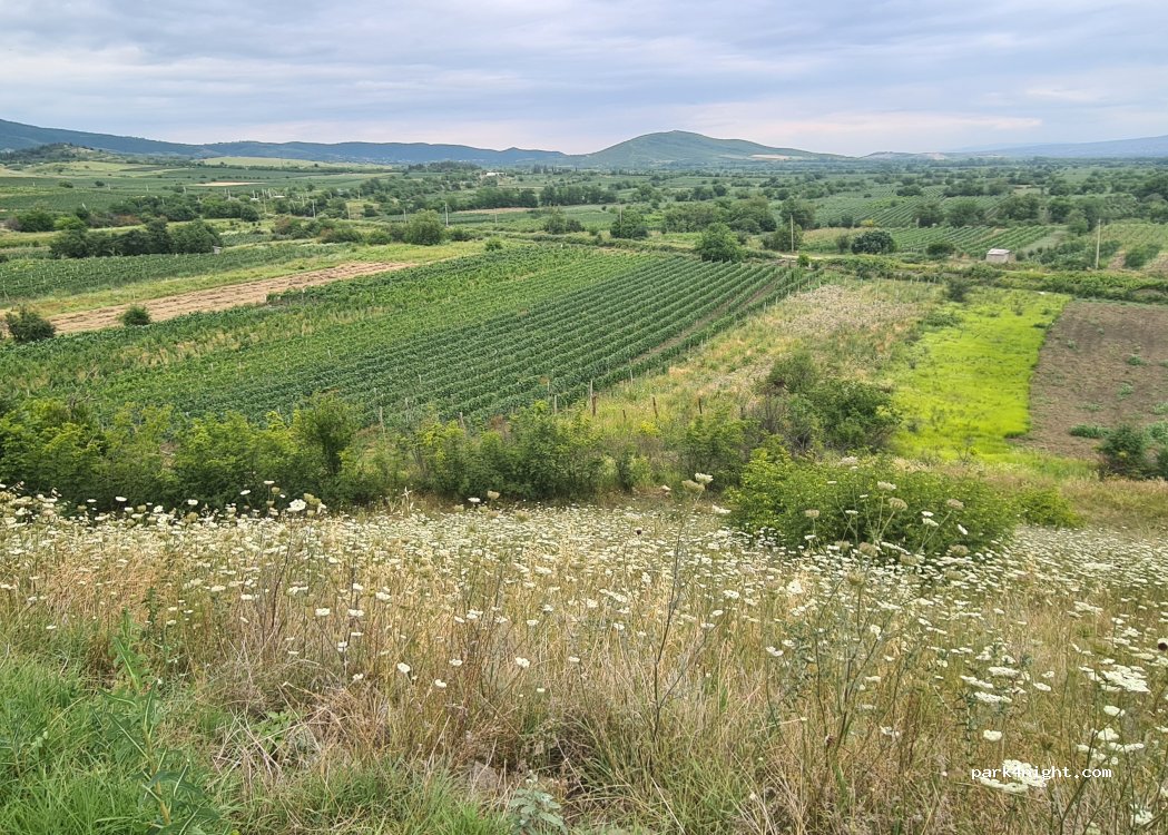 () Augusta - S5 — foto 5