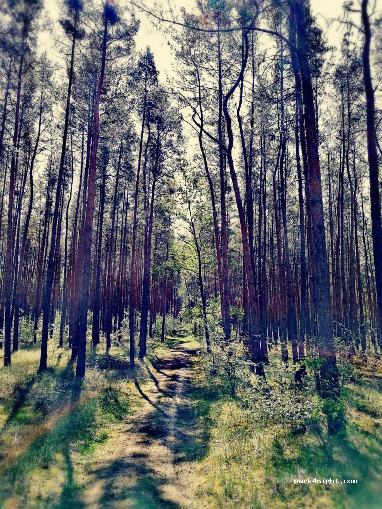 (14715) Milower Land - Schäfereiweg — foto