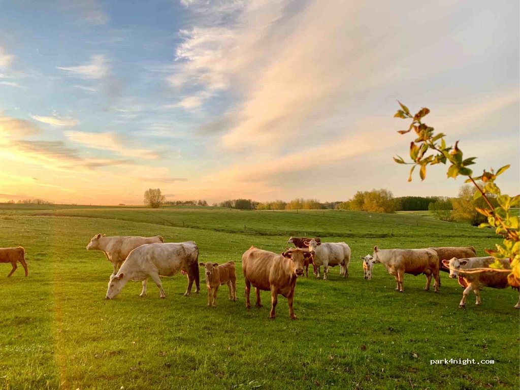 PEENEHOF KÖPPEN — foto 2