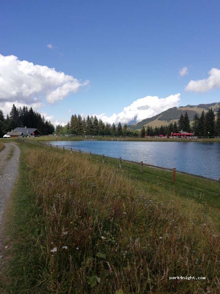 (74120) Megève - 1331 Chemin de la Rée — foto