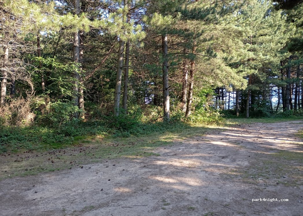 (48800) Pourcharesses - Unnamed Road — foto 4