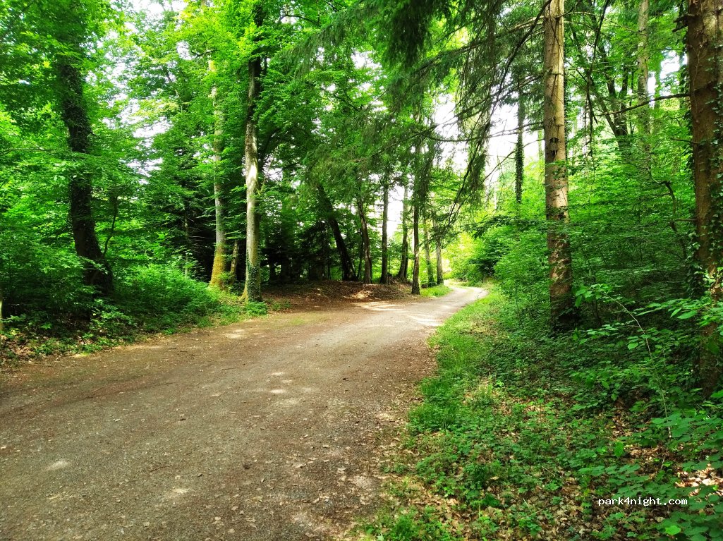 (5608) Stetten - 2 Wildenau — foto 2