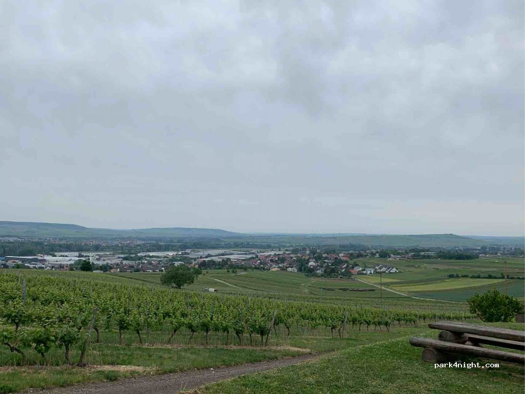 (55450) Langenlonsheim - Unnamed Road — foto