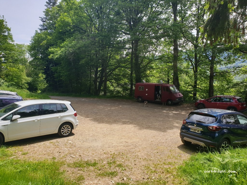 (03250) Lavoine - D995 — foto