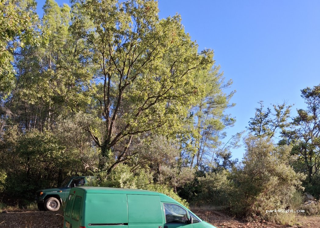 (83510) Lorgues - 2313 Chemin des Combes — foto 4