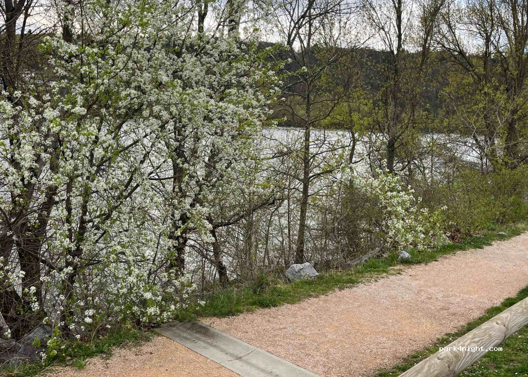 (69420) Ampuis - 3 Chemin de la Traille — foto 4