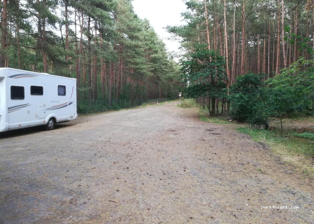 (29313) Hambühren - 6 Mausfuhre — foto