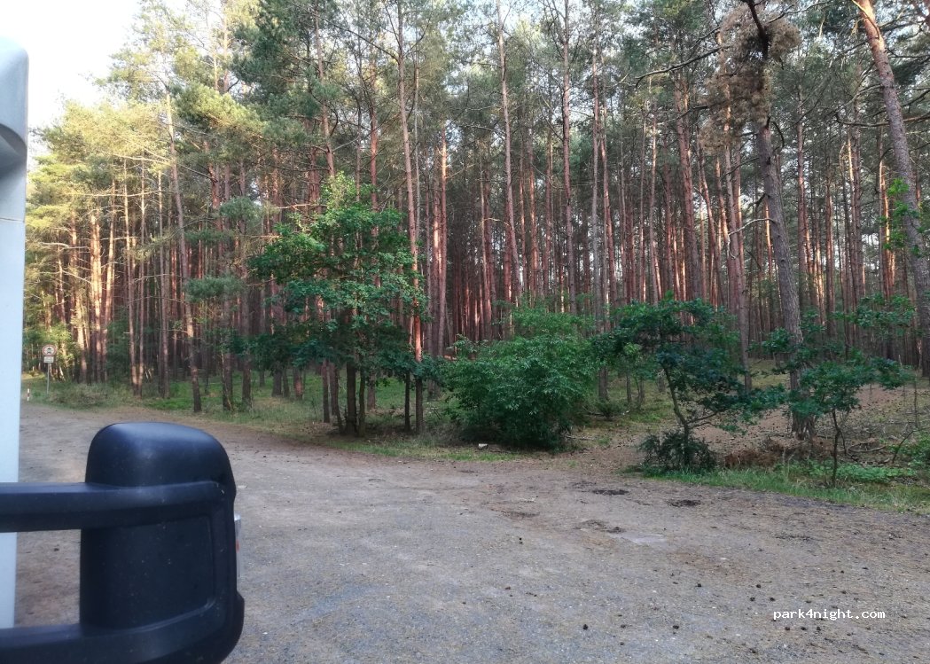 (29313) Hambühren - 6 Mausfuhre — foto 2