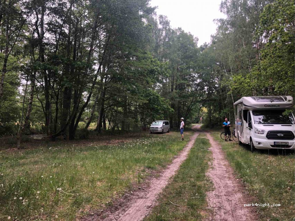 (15913) Märkische Heide - K6118 — foto