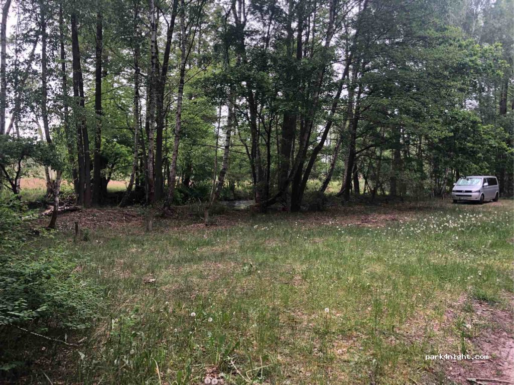 (15913) Märkische Heide - K6118 — foto 2