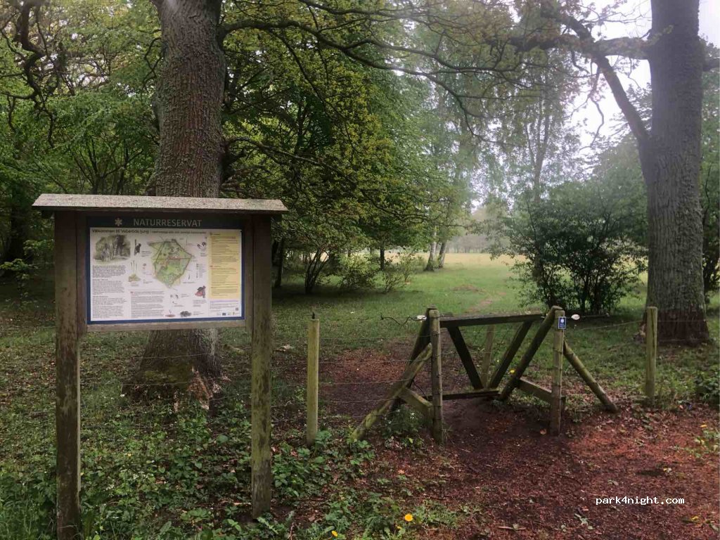 (247 96) Veberöd - 502 LJUNGEN — foto 2