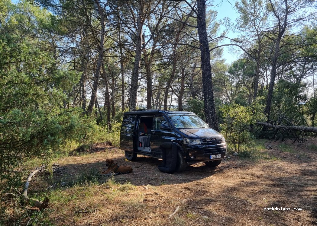 (83630) Baudinard-sur-Verdon - D9 — foto 3