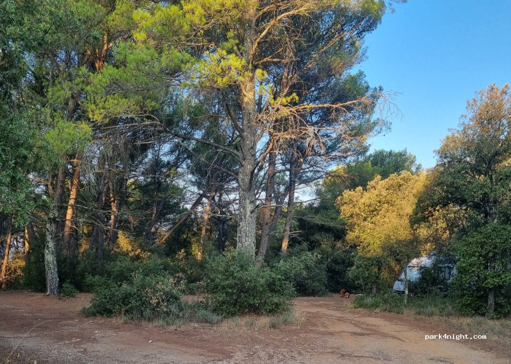 (83630) Baudinard-sur-Verdon - D9 — foto 4