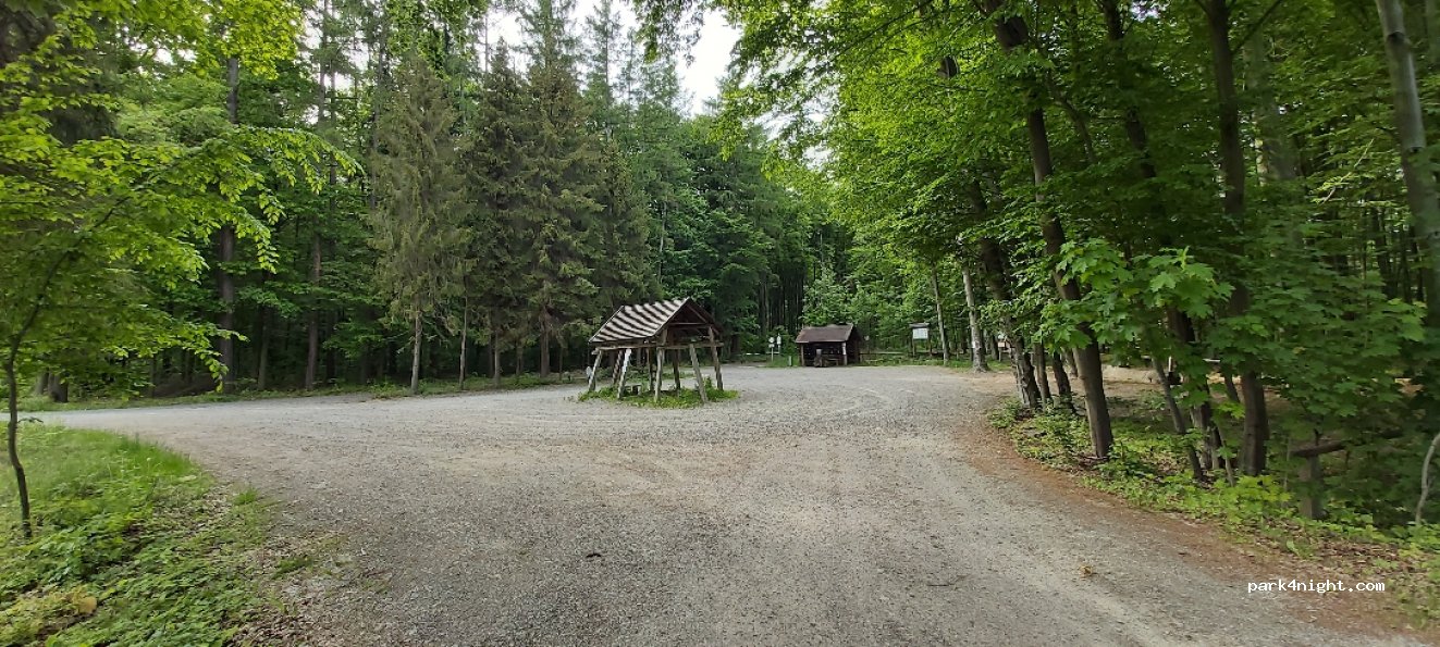 (37-307) Brzóza Królewska - — foto 2