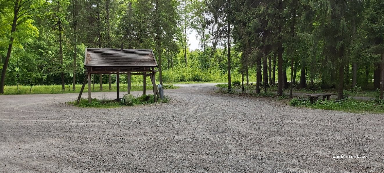 (37-307) Brzóza Królewska - — foto 3
