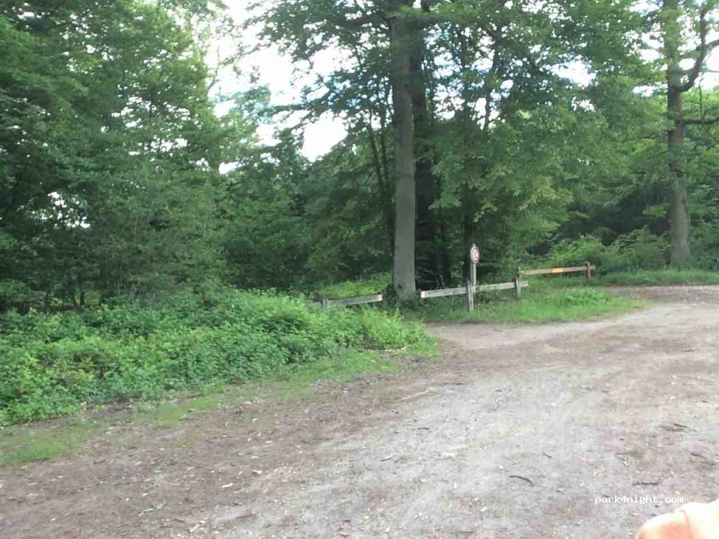(78690) Les Essarts-le-Roi - Route Forestière des Cinq Cents Arpents — foto 2