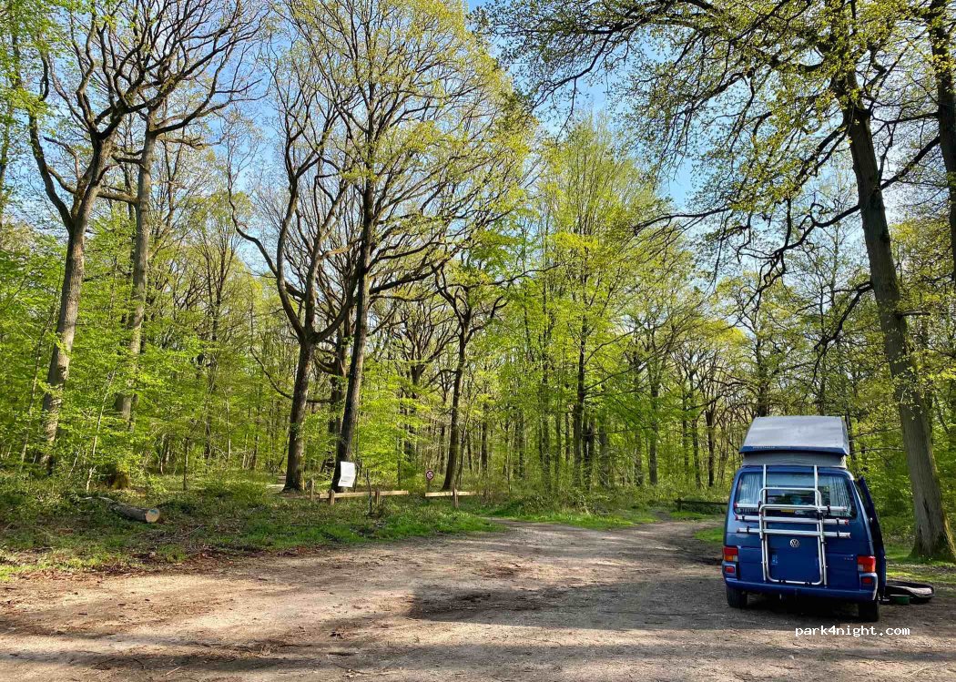 (78690) Les Essarts-le-Roi - Route Forestière des Cinq Cents Arpents — foto 3