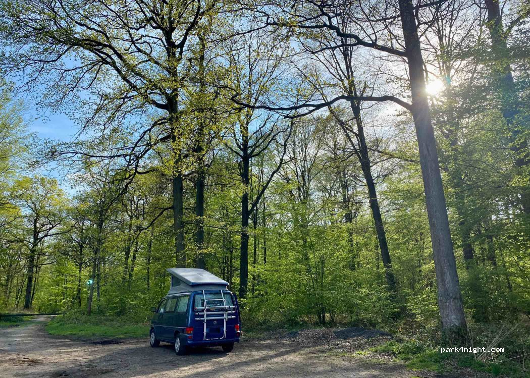(78690) Les Essarts-le-Roi - Route Forestière des Cinq Cents Arpents — foto 4