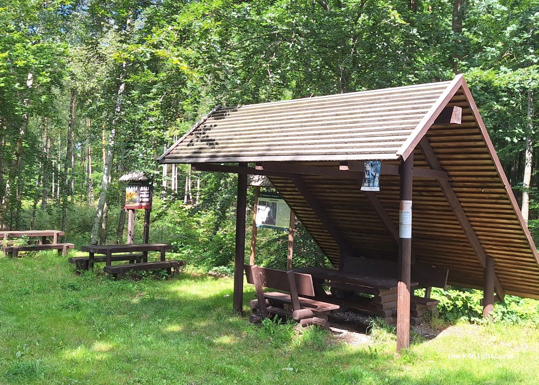 (77) Tuchomie - Droga Krajowa 20 — foto 2