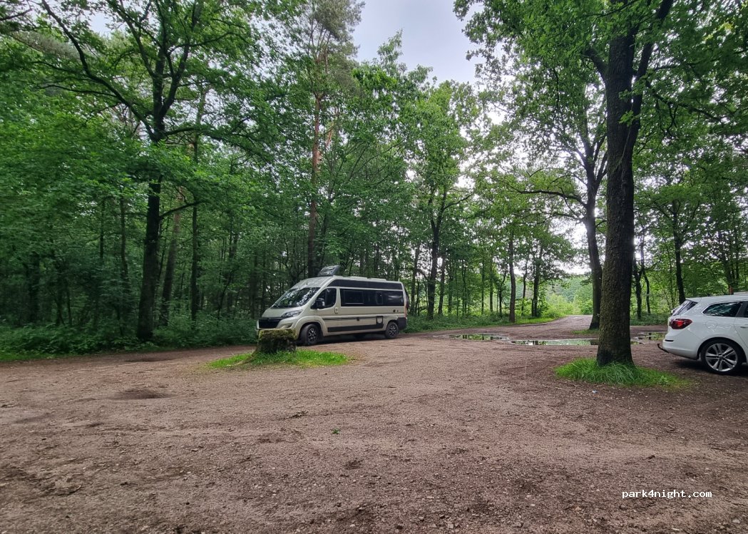 (7951) Staphorst - 7951 Kievitshaarweg — foto 4