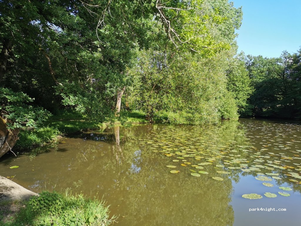 (79340) Coutières - Unnamed Road — foto