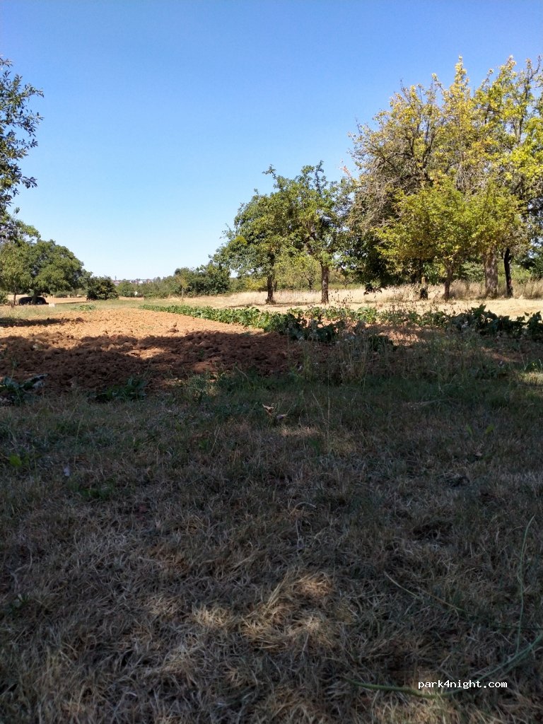 (79340) Coutières - Unnamed Road — foto 2