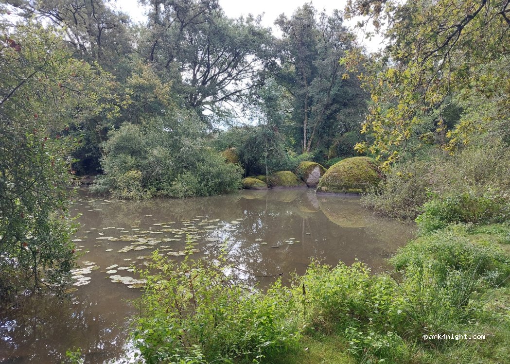 (79340) Coutières - Unnamed Road — foto 3