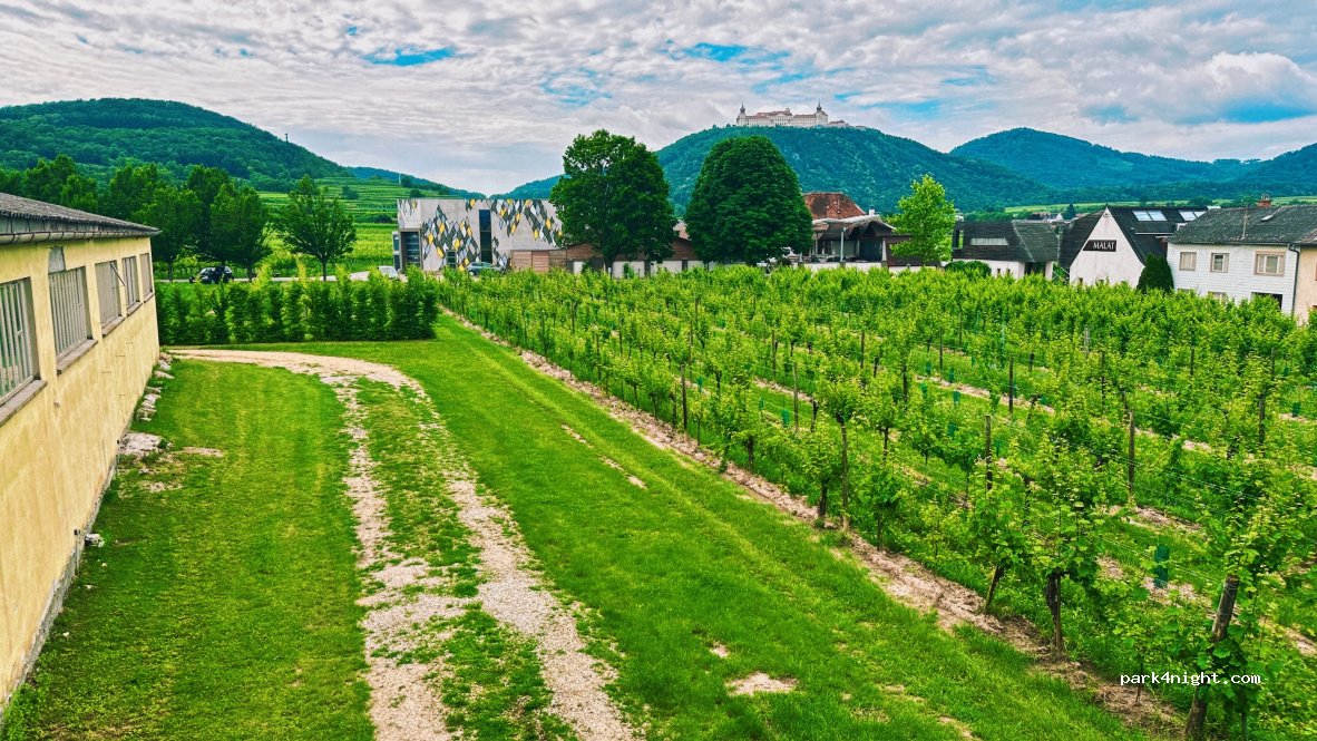 Hotel Weinresidenz Sonnleitner**** — foto 5