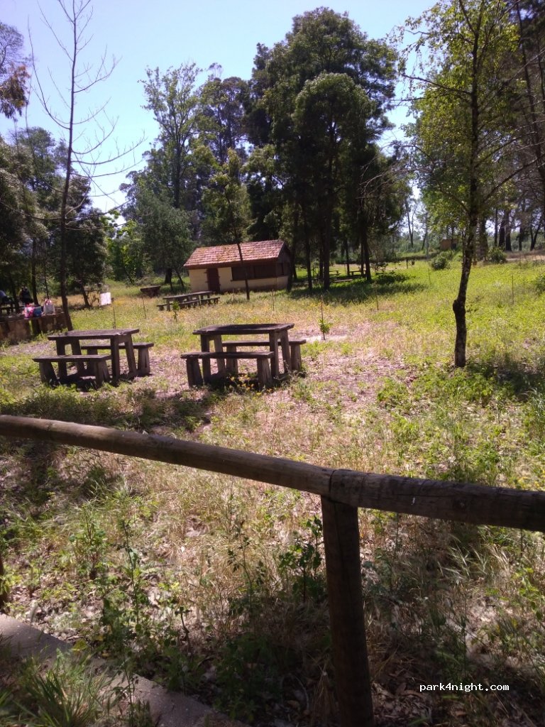 (3070-042) Mira - 31 Rua da Barragem — foto