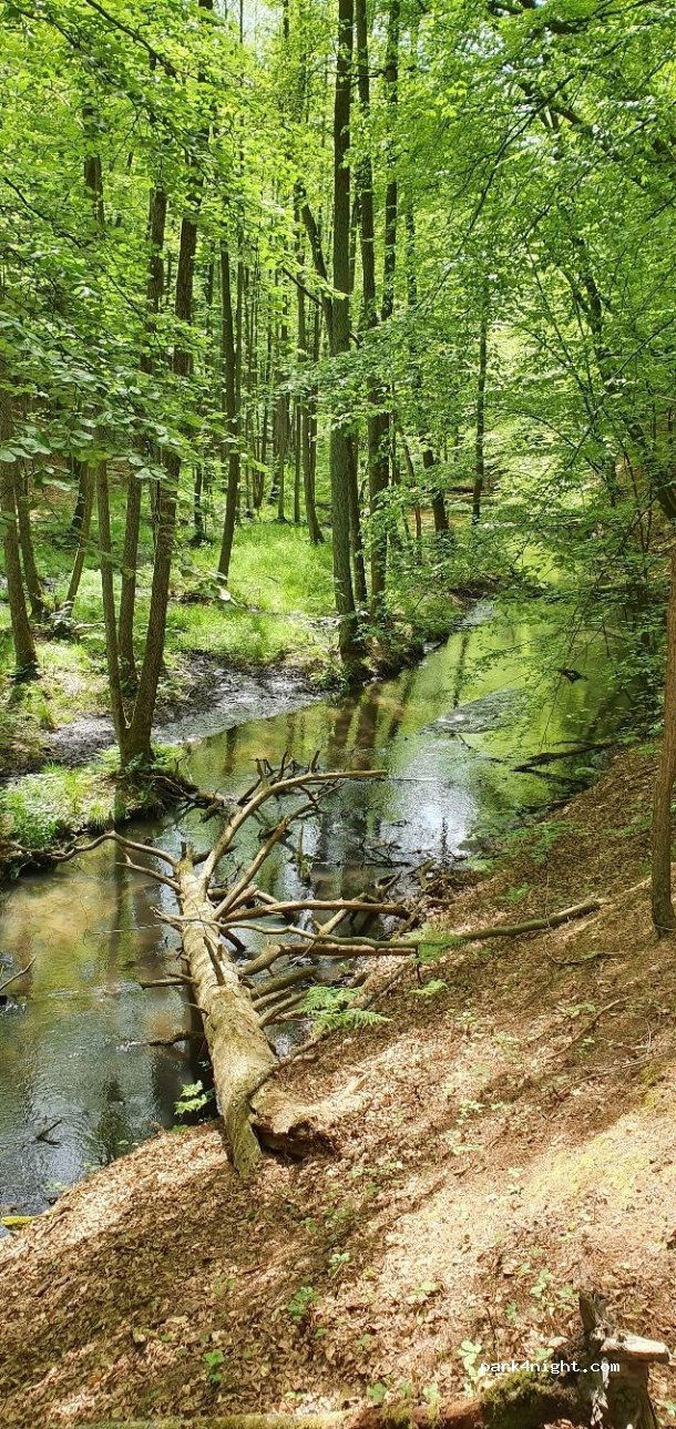 (15898) Neuzelle - Schlaubemühle — foto 2