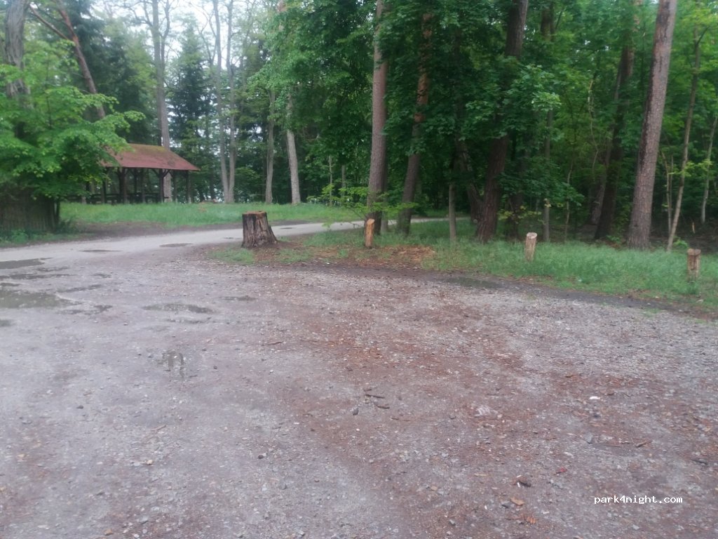 (63-020) Zaniemyśl - Droga Wojewódzka 432 — foto 2