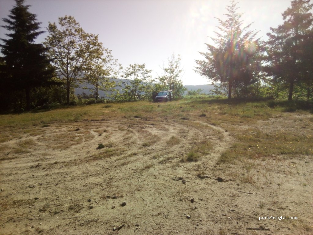(36713) Tui - Unnamed Road — foto