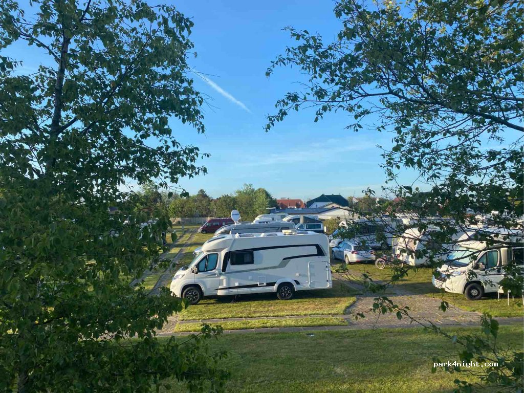 Rosen Camp Kniese — foto