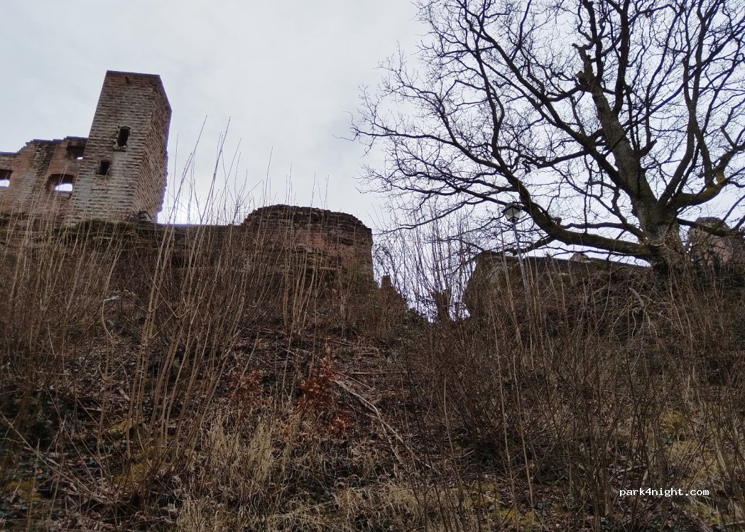 (66994) Dahn - K40 — foto